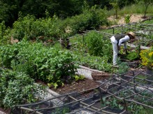 The potager – growing vegetables the rural French way
