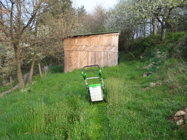 mowing the orchard