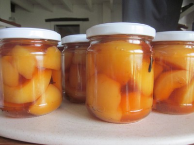 pickled quince