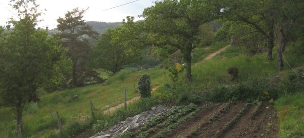 The top potager – yet another vegetable garden