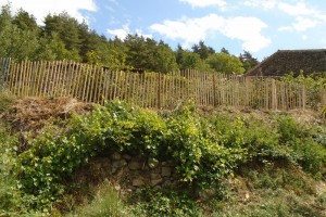 Chestnut fencing the vegetable garden