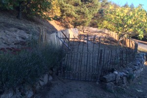 Badger proof fences