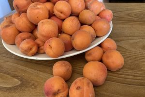 Eyrieux Valley apricot season
