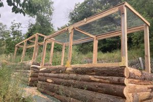 Building tall permaculture raised beds