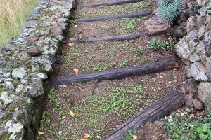 Repairing chestnut steps