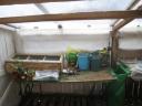 potting-shed-shrouded-1.JPG