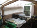 potting-shed-shrouded.JPG