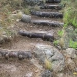 weeded steps