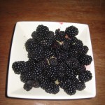 Blackberries for tarts