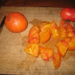 Orange tomatoes