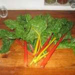 Swiss chard