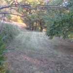 Sunset mowing