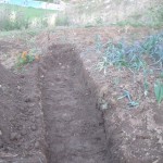 lower potager dig 1