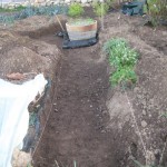 lower potager dig 3