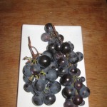 last grapes