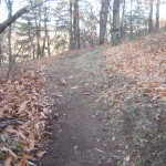 raked track