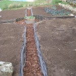 final potager path