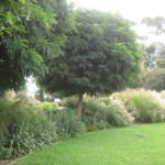 Yerang station garden