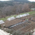 Potager structures