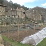 Potager with poles