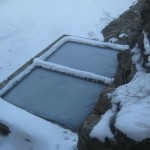 frozen lily pond