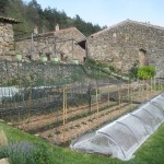 potager 25th april