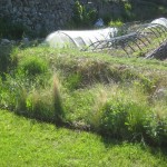 before stipa garden