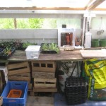 potting shed may 1