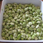 Broad beans june