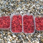 Raspberries Saturday