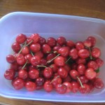 first cherries