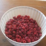 raspberries galore