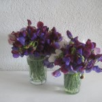 sweet peas