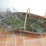 trug and lavender