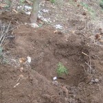 First grave dug