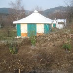 village hedge tent