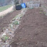 weeded top potager 2011