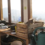 artur in potting shed