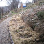 mulch on calabert garden 1