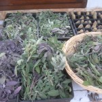 sage to dry
