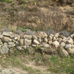 east garden rock wall
