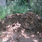 manure heap