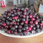 Cherries 2011