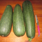 marrows in proportion