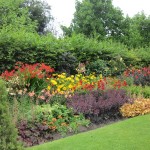 Regents Park 11