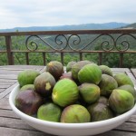 first figs