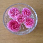 gertie roses for the house