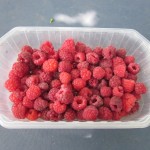 last summer rasberries