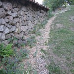 mulched walnut path