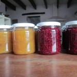 raspberry mirabelle jam